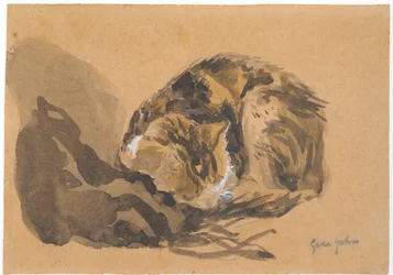 Tanulmány egy macskáról, 1905-08